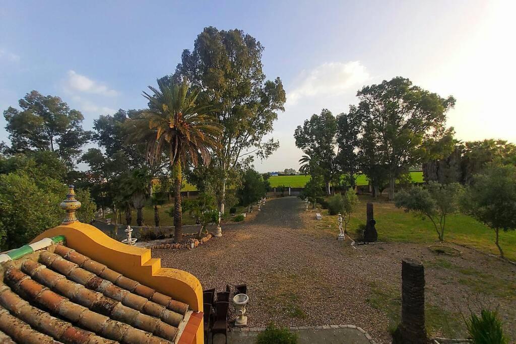 セビリア Cortijo San Joseヴィラ エクステリア 写真
